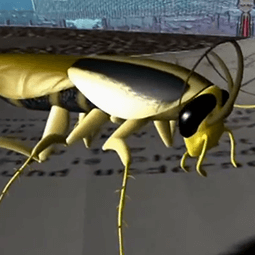 (3D Animation) Temerity